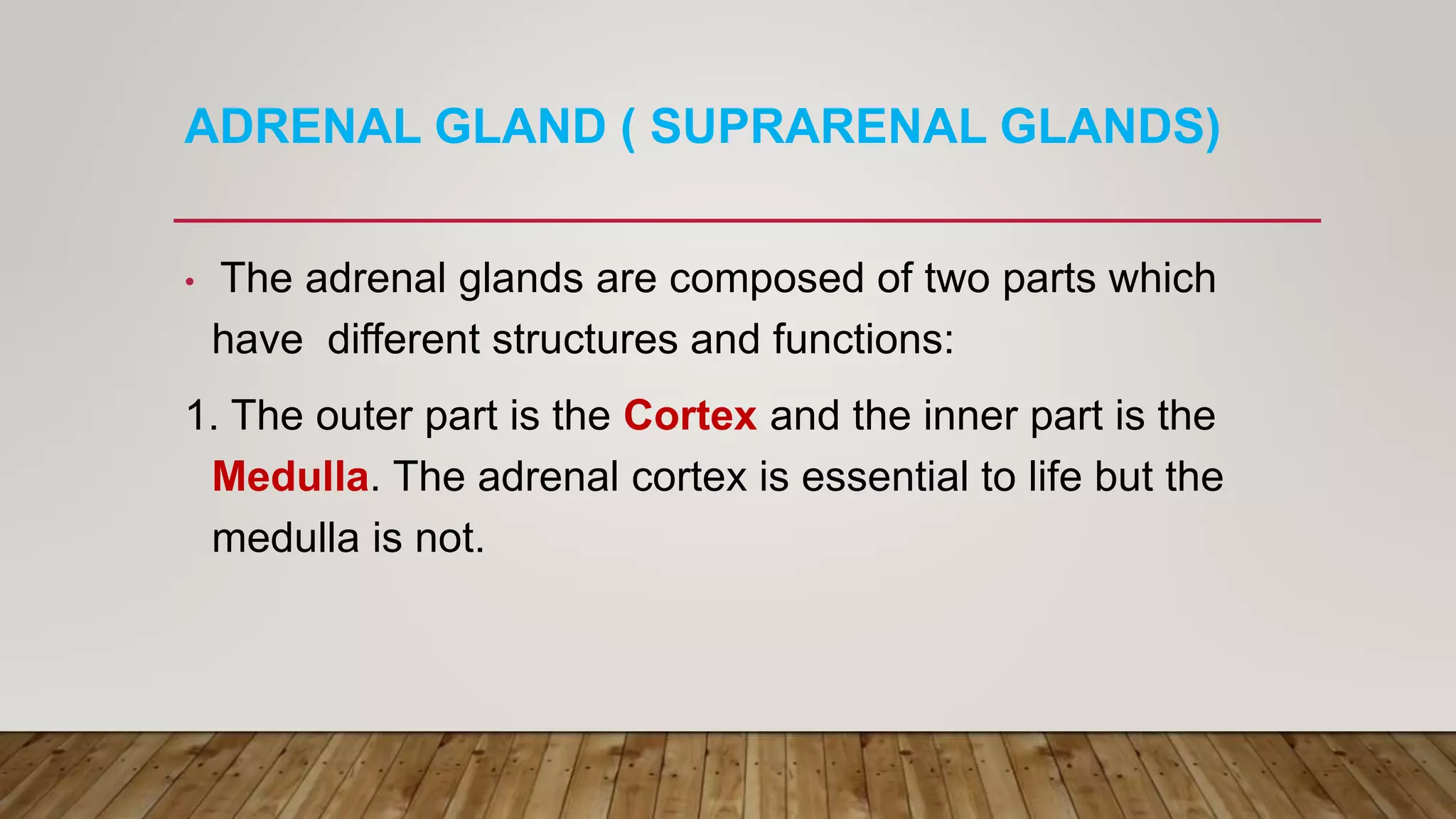 ADRENAL GLAND ( SUPRARENAL GLANDS)
• The adrenal glands are composed of two parts which
have different structures and functions:
1. The outer part is the Cortex and the inner part is the
Medulla. The adrenal cortex is essential to life but the
medulla is not.
 