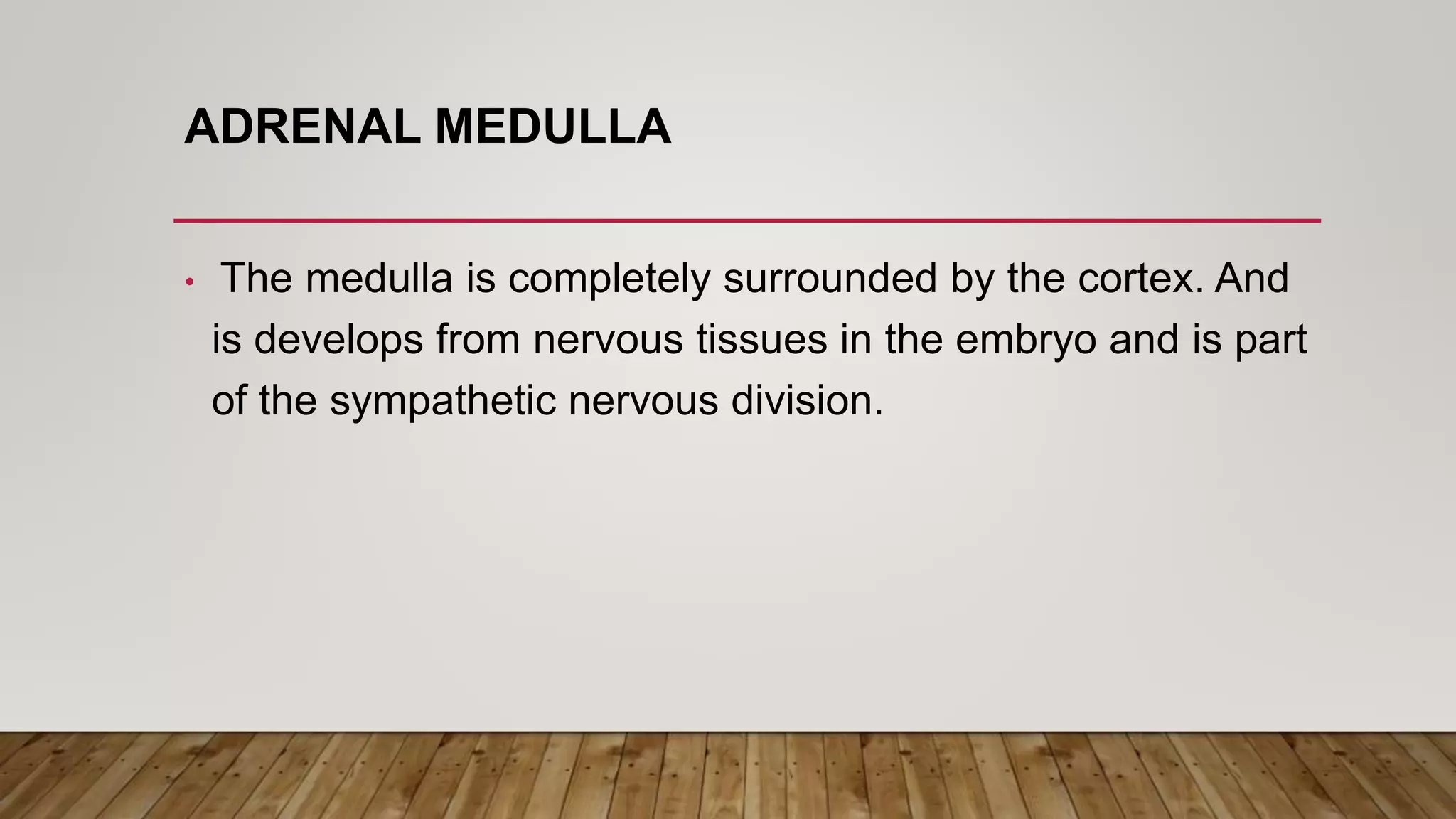 ADRENAL MEDULLA
• The medulla is completely surrounded by the cortex. And
is develops from nervous tissues in the embryo and is part
of the sympathetic nervous division.
 