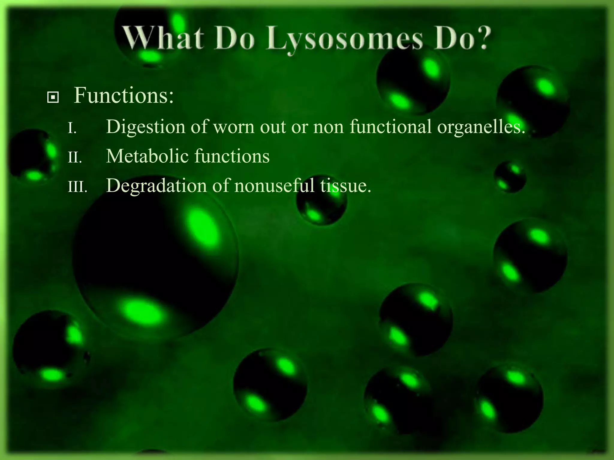  Functions:
I. Digestion of worn out or non functional organelles.
II. Metabolic functions
III. Degradation of nonuseful tissue.
 