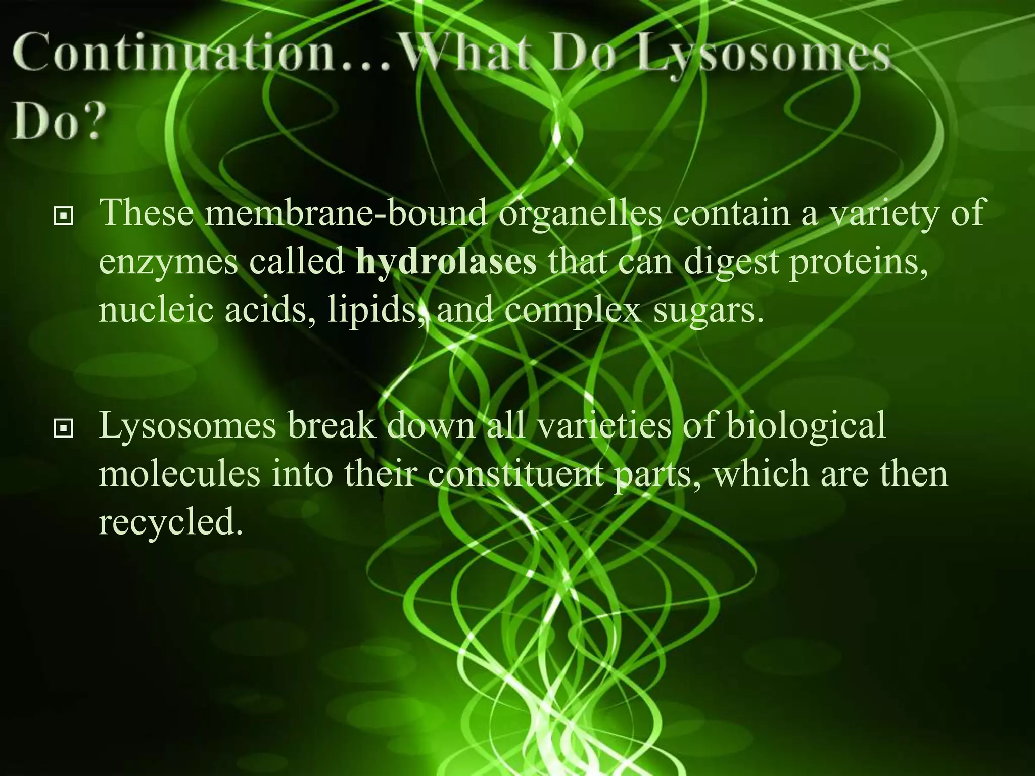  These membrane-bound organelles contain a variety of
enzymes called hydrolases that can digest proteins,
nucleic acids, lipids, and complex sugars.
 Lysosomes break down all varieties of biological
molecules into their constituent parts, which are then
recycled.
 