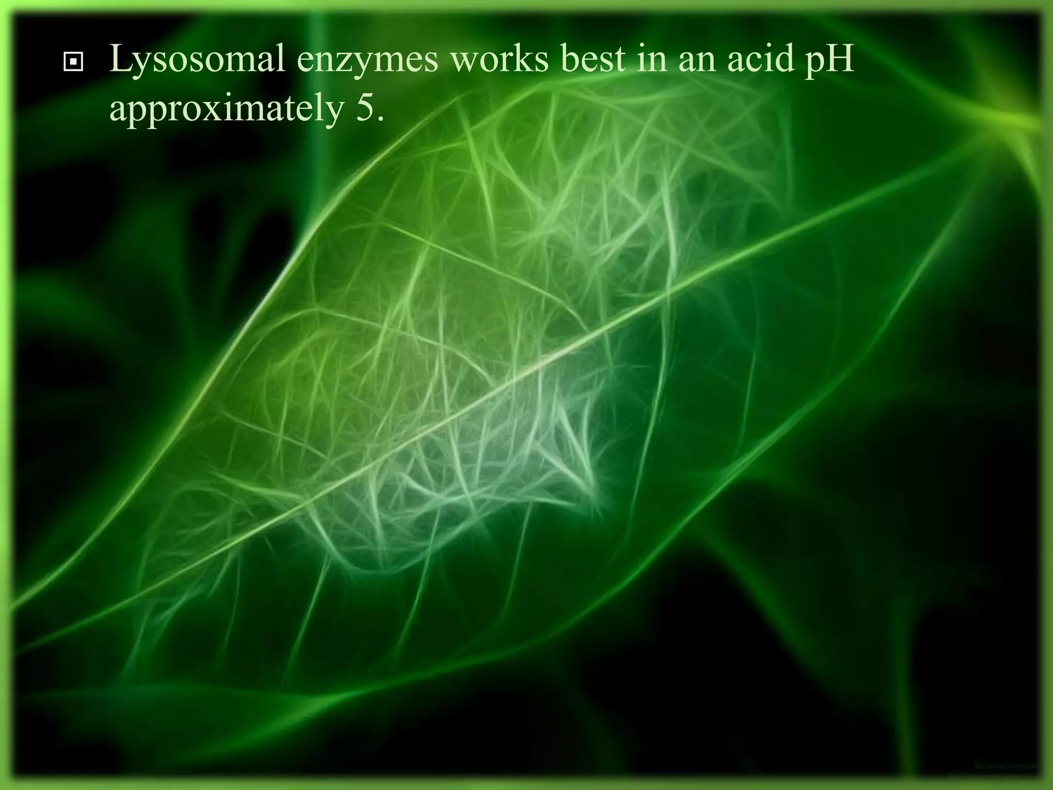  Lysosomal enzymes works best in an acid pH
approximately 5.
 