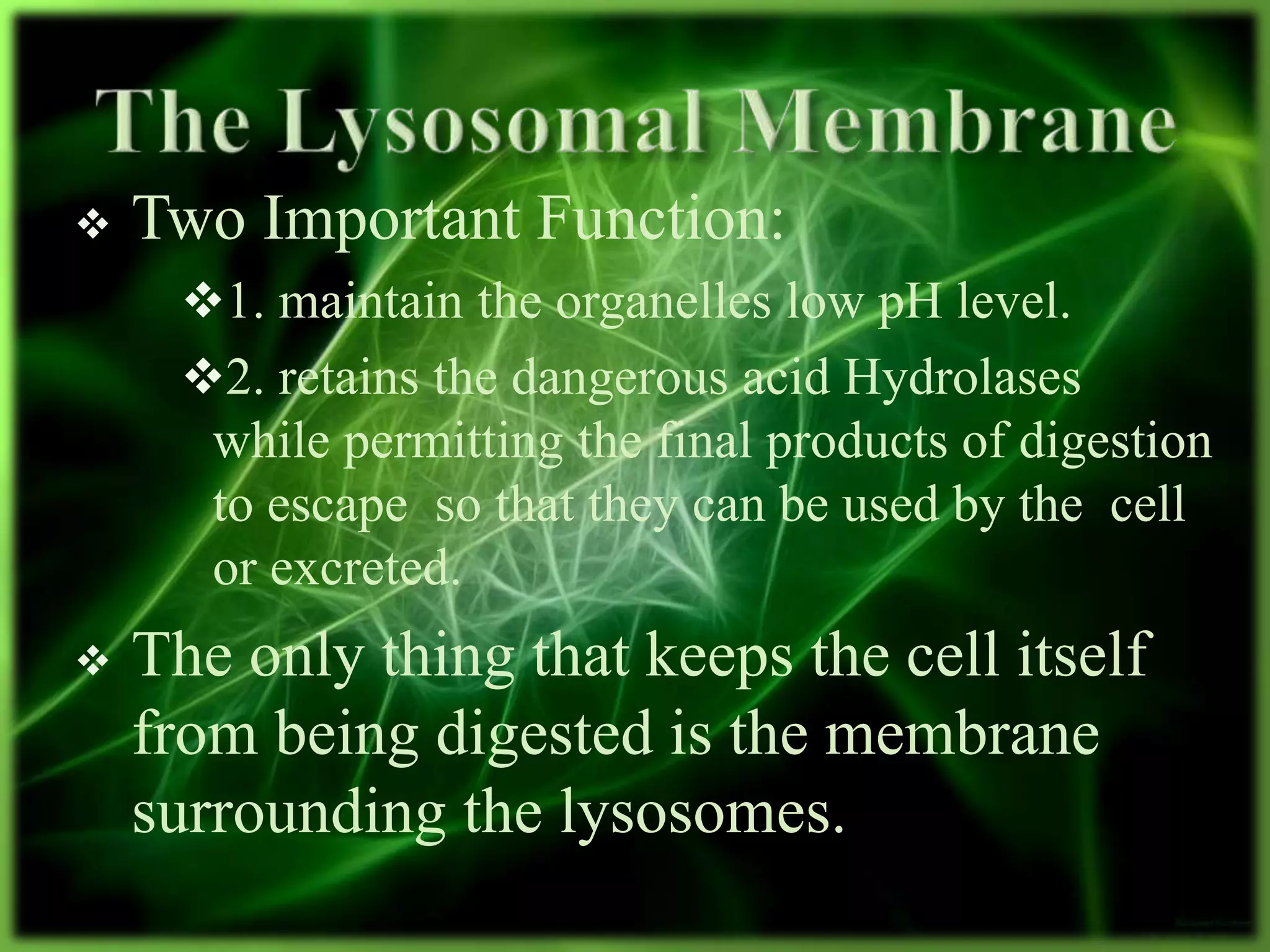  Two Important Function:
1. maintain the organelles low pH level.
2. retains the dangerous acid Hydrolases
while permitting the final products of digestion
to escape so that they can be used by the cell
or excreted.
 The only thing that keeps the cell itself
from being digested is the membrane
surrounding the lysosomes.
 