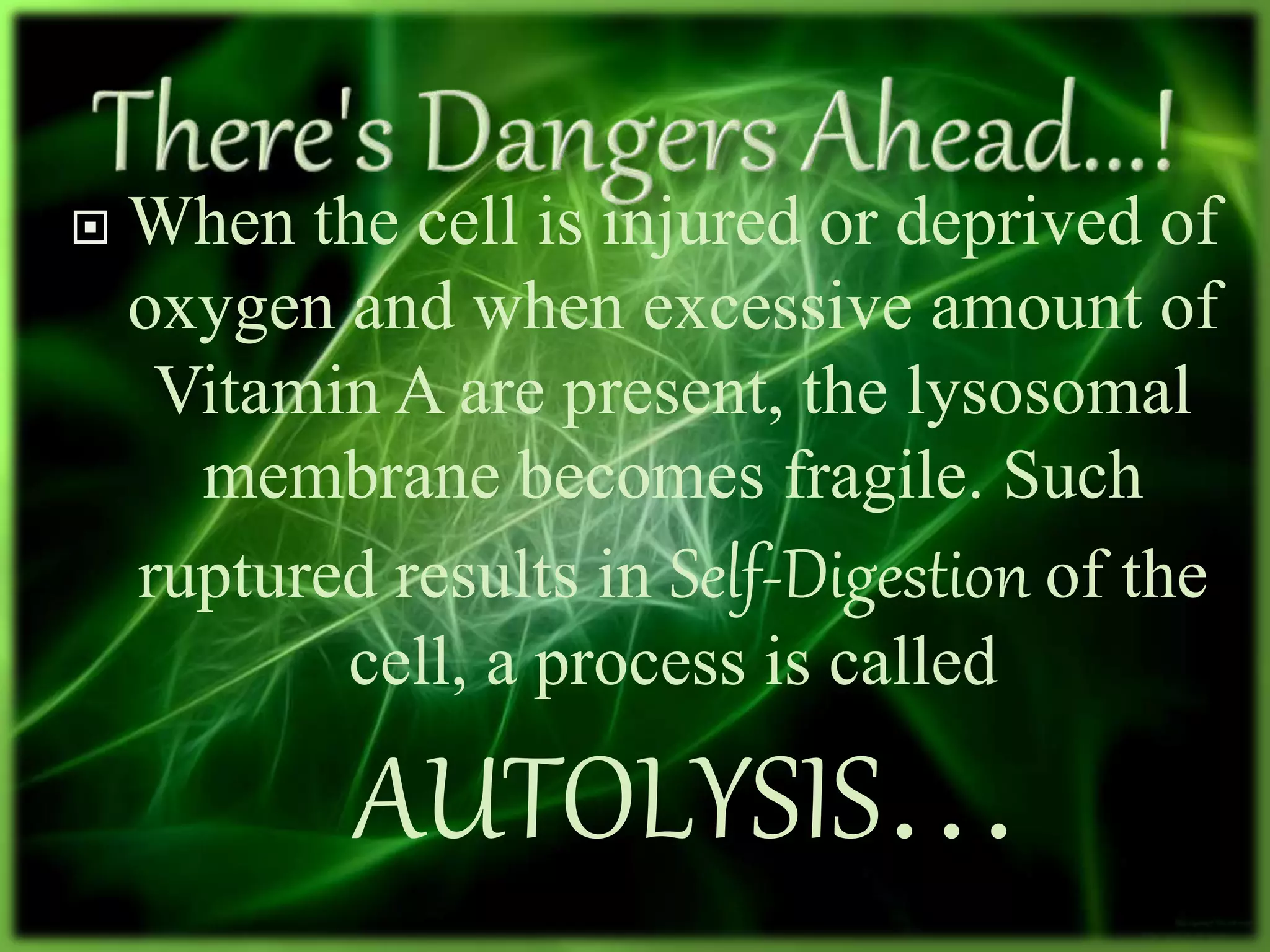  When the cell is injured or deprived of
oxygen and when excessive amount of
Vitamin A are present, the lysosomal
membrane becomes fragile. Such
ruptured results in Self-Digestion of the
cell, a process is called
AUTOLYSIS…
 