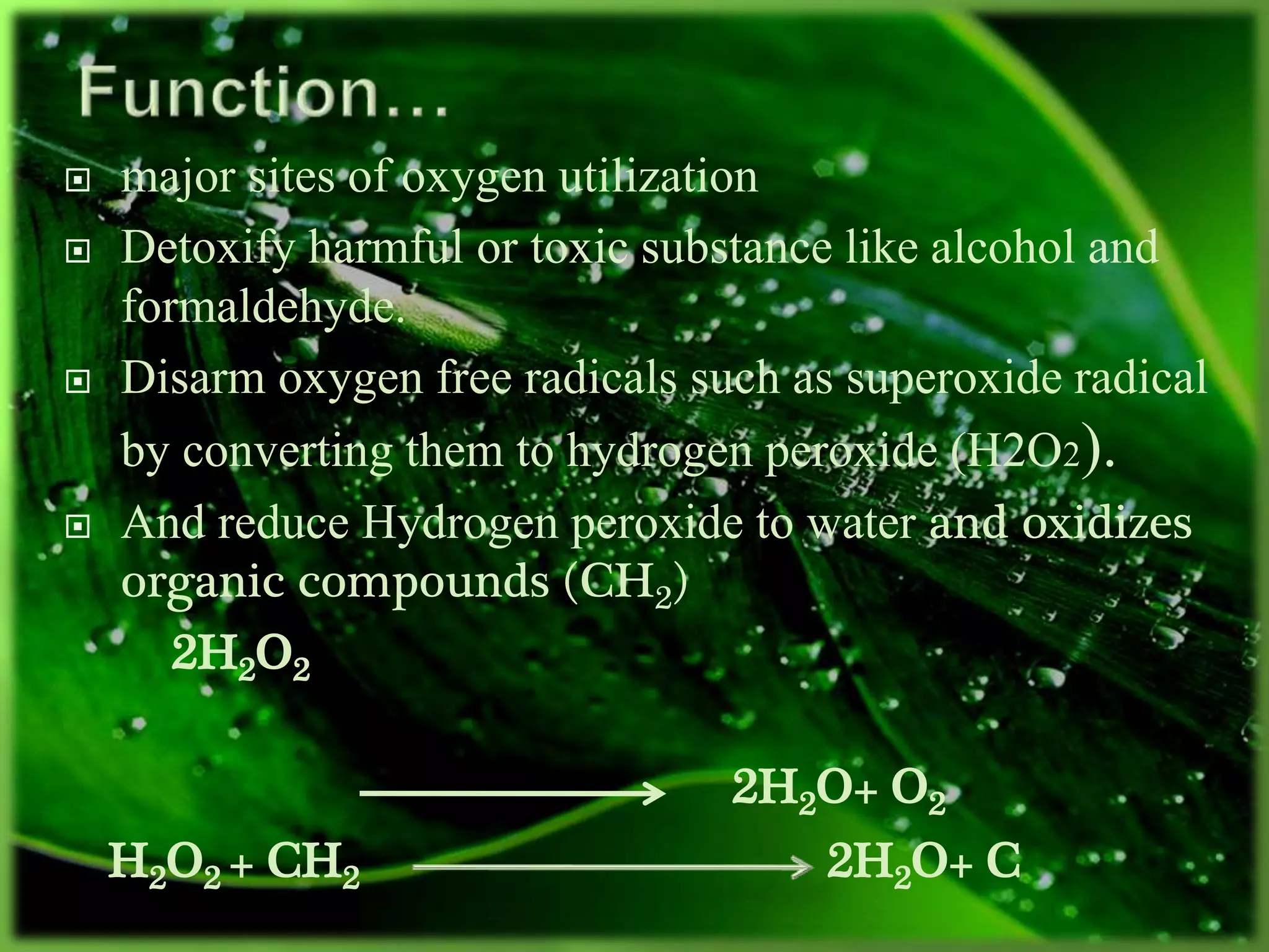  major sites of oxygen utilization
 Detoxify harmful or toxic substance like alcohol and
formaldehyde.
 Disarm oxygen free radicals such as superoxide radical
by converting them to hydrogen peroxide (H2O2).
 And reduce Hydrogen peroxide to water and oxidizes
organic compounds (CH2)
2H2O2
2H2O+ O2
H2O2 + CH2 2H2O+ C
 
