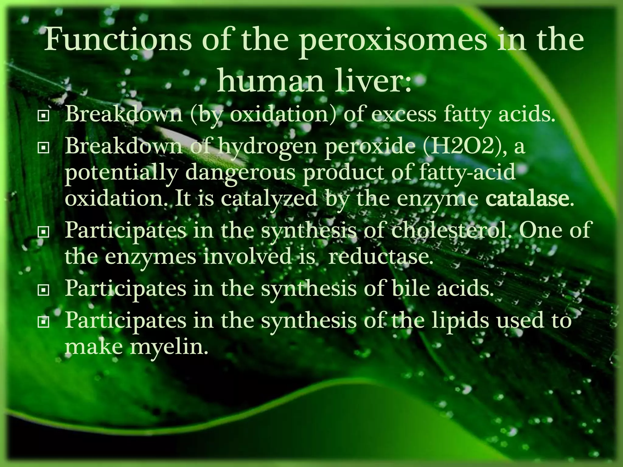  Breakdown (by oxidation) of excess fatty acids.
 Breakdown of hydrogen peroxide (H2O2), a
potentially dangerous product of fatty-acid
oxidation. It is catalyzed by the enzyme catalase.
 Participates in the synthesis of cholesterol. One of
the enzymes involved is reductase.
 Participates in the synthesis of bile acids.
 Participates in the synthesis of the lipids used to
make myelin.
Functions of the peroxisomes in the
human liver:
 