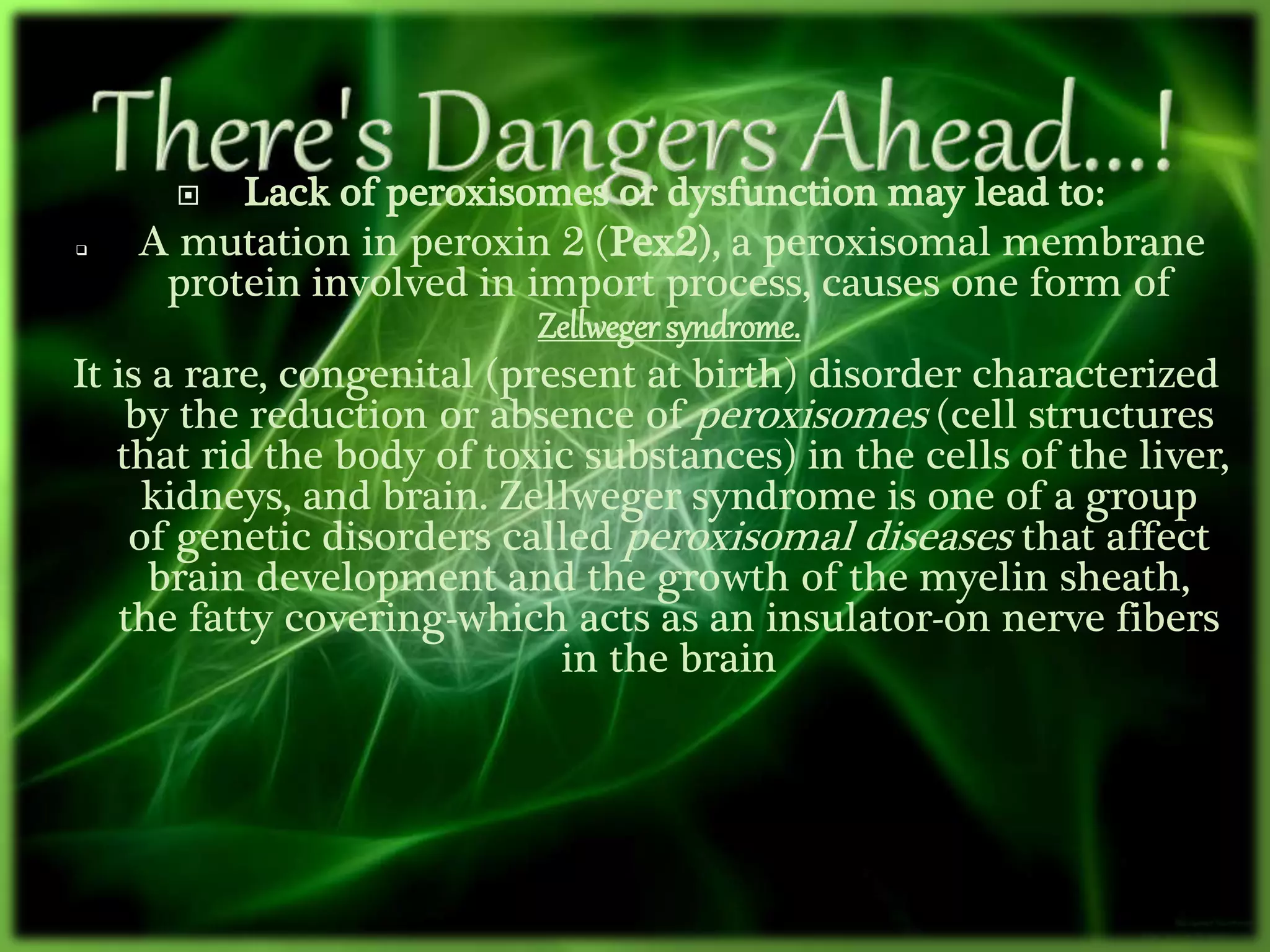  Lack of peroxisomes or dysfunction may lead to:
 A mutation in peroxin 2 (Pex2), a peroxisomal membrane
protein involved in import process, causes one form of
Zellweger syndrome.
It is a rare, congenital (present at birth) disorder characterized
by the reduction or absence of peroxisomes (cell structures
that rid the body of toxic substances) in the cells of the liver,
kidneys, and brain. Zellweger syndrome is one of a group
of genetic disorders called peroxisomal diseases that affect
brain development and the growth of the myelin sheath,
the fatty covering-which acts as an insulator-on nerve fibers
in the brain
 