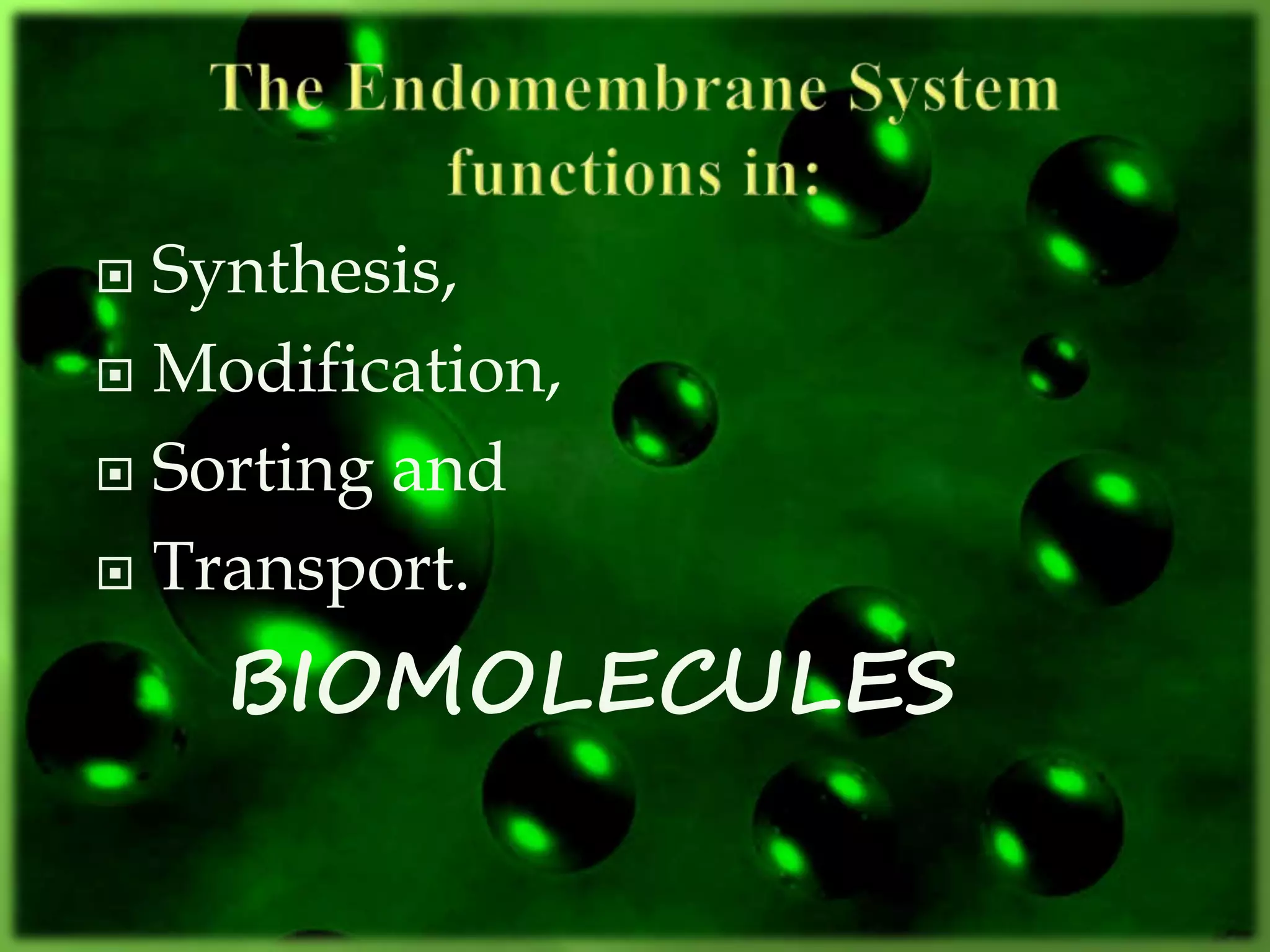  Synthesis,
 Modification,
 Sorting and
 Transport.
BIOMOLECULES
 
