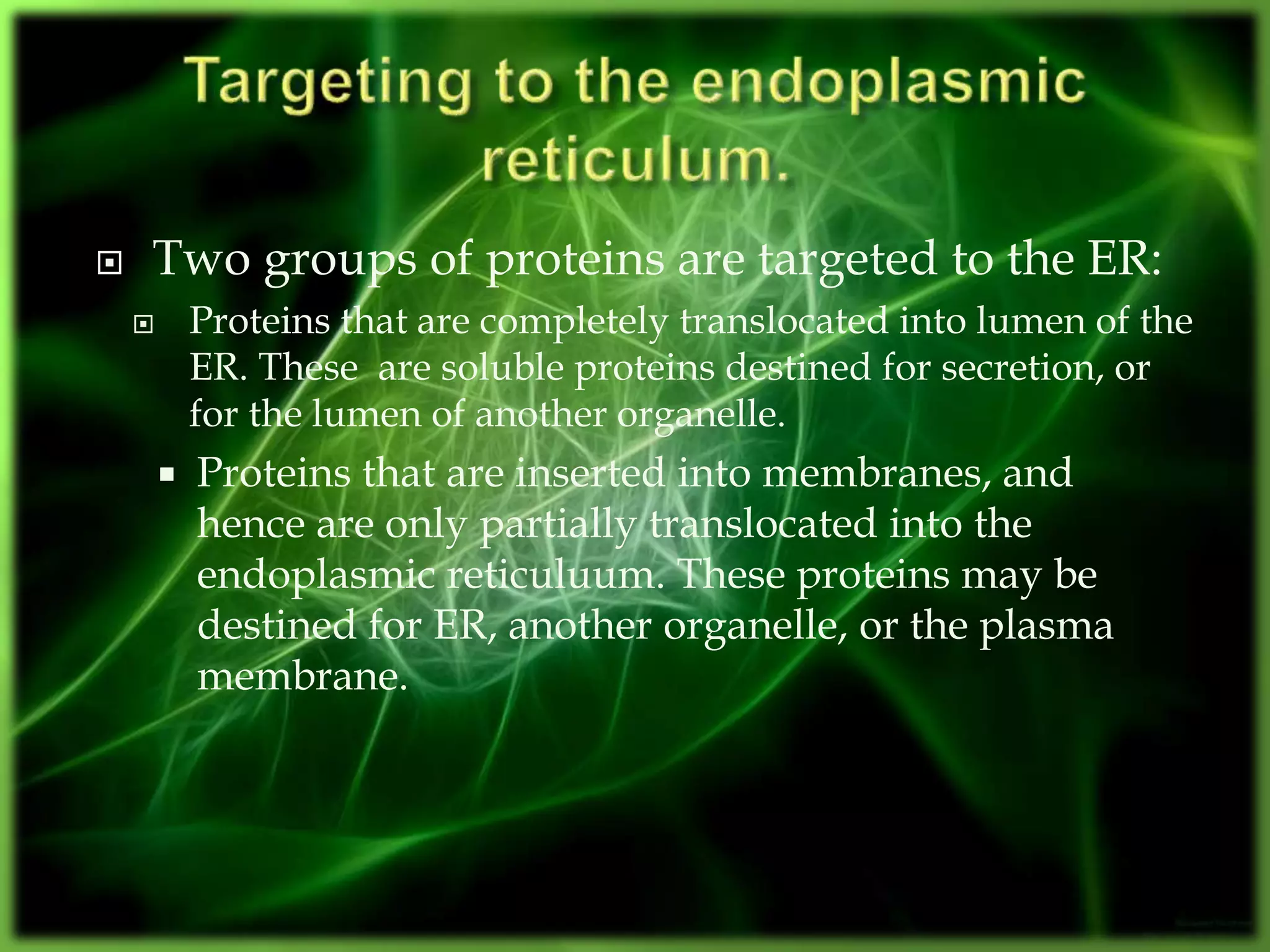  Two groups of proteins are targeted to the ER:
 Proteins that are completely translocated into lumen of the
ER. These are soluble proteins destined for secretion, or
for the lumen of another organelle.
 Proteins that are inserted into membranes, and
hence are only partially translocated into the
endoplasmic reticuluum. These proteins may be
destined for ER, another organelle, or the plasma
membrane.
 