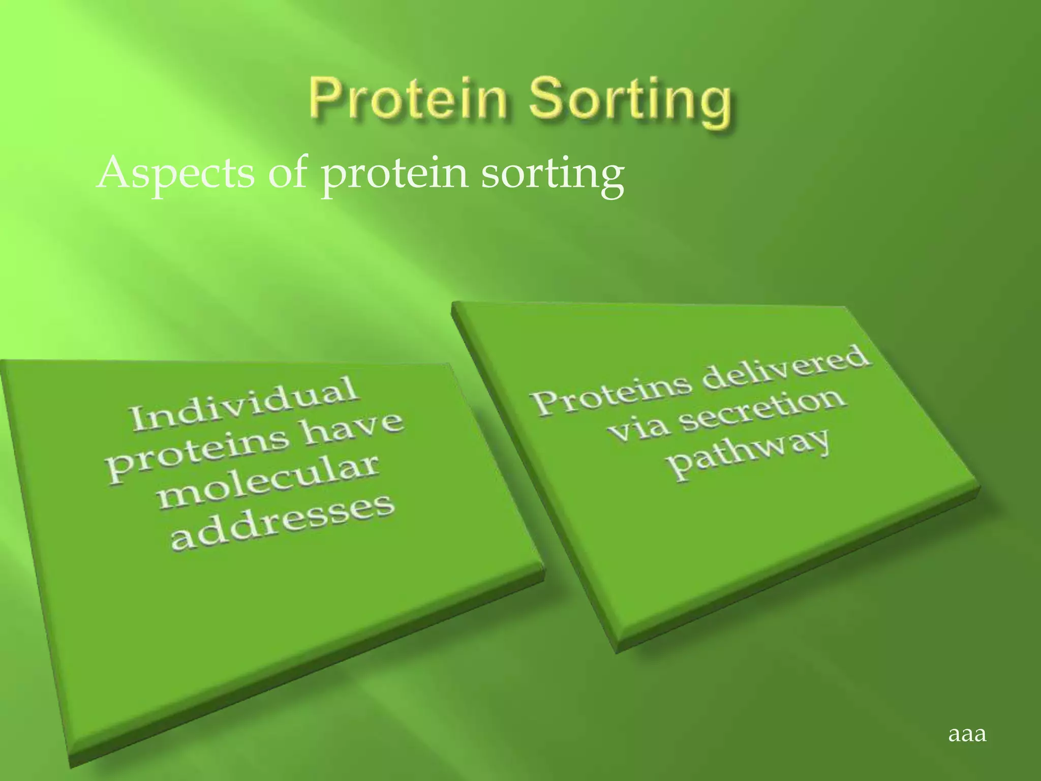 Aspects of protein sorting
aaa
 