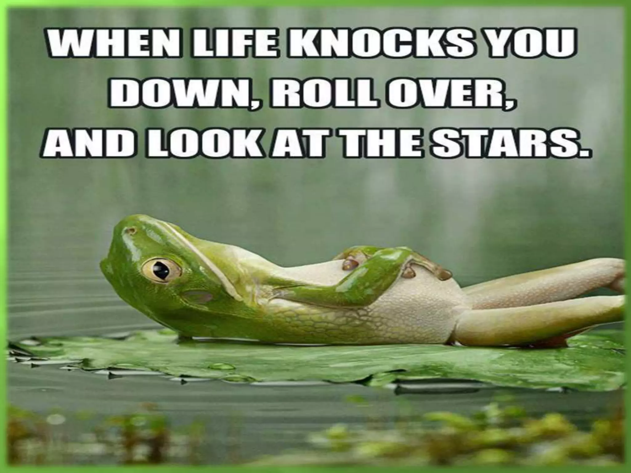 The Endomembrane System