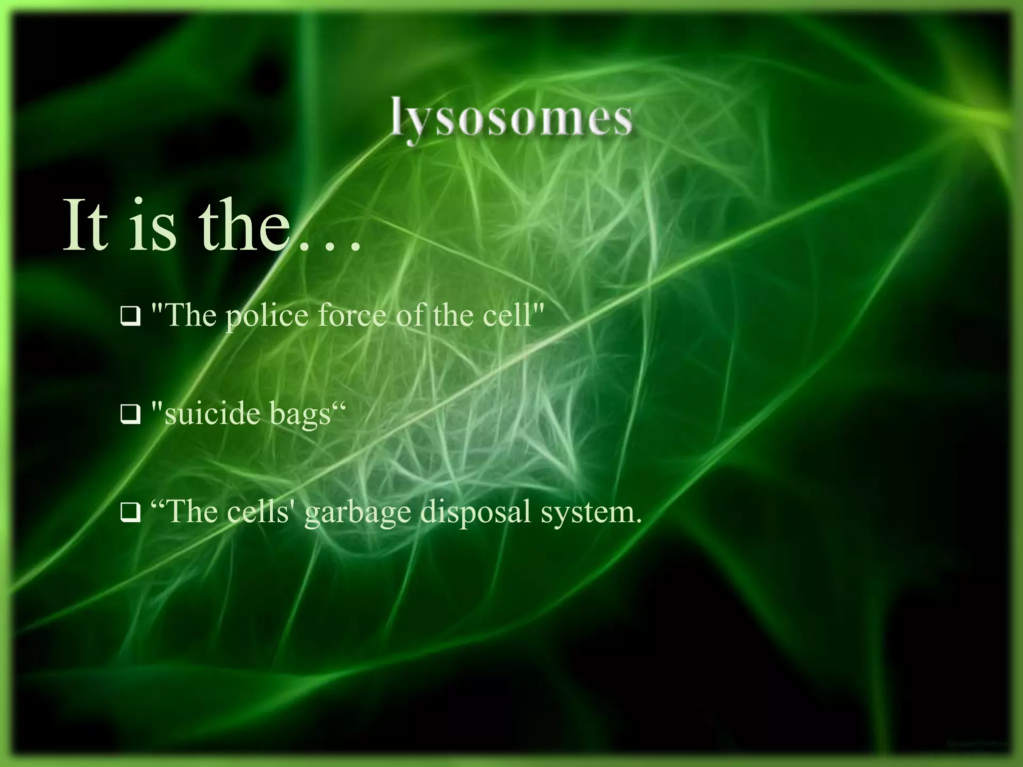  "The police force of the cell"
 "suicide bags“
 “The cells' garbage disposal system.
It is the…
 