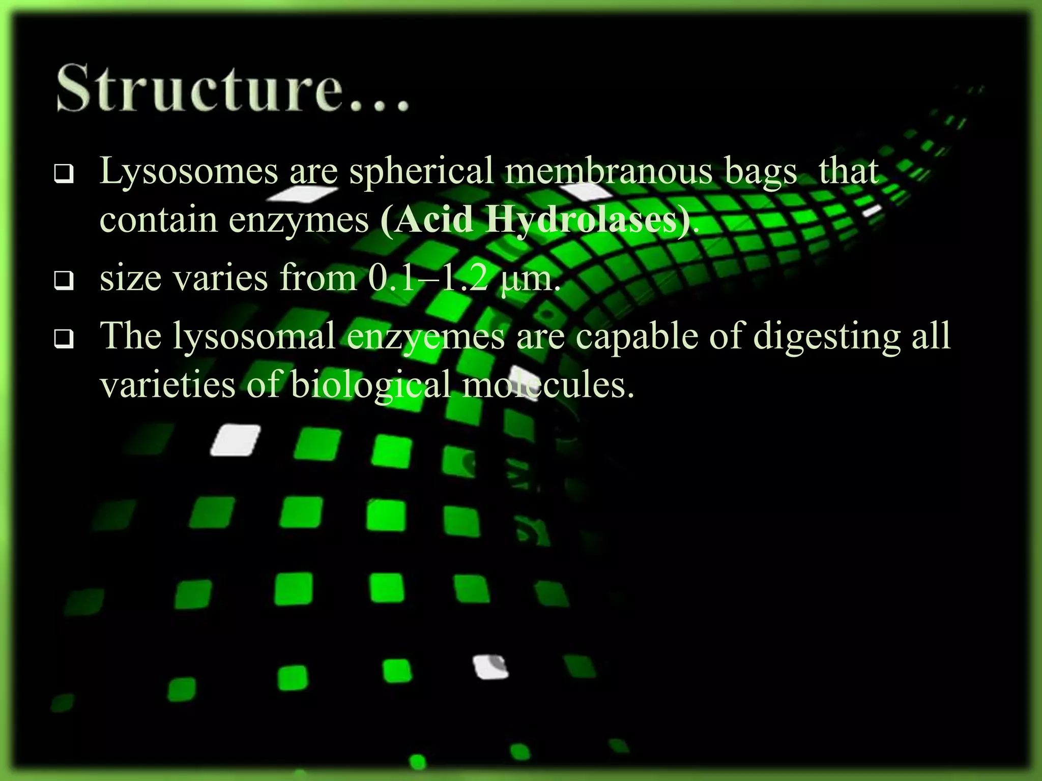  Lysosomes are spherical membranous bags that
contain enzymes (Acid Hydrolases).
 size varies from 0.1–1.2 μm.
 The lysosomal enzyemes are capable of digesting all
varieties of biological molecules.
 