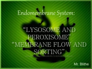 Mr. Blithe
Endomembrane System:
 