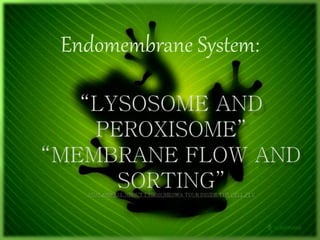 Endomembrane System:
 