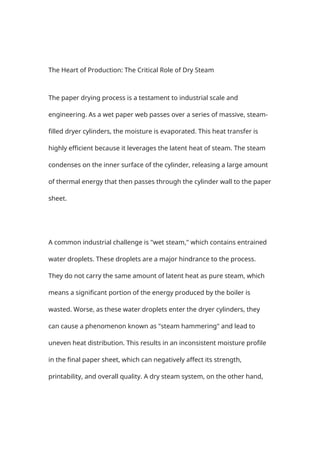 The Engine of Efficiency Engineering Advanced Steam Separators for ...