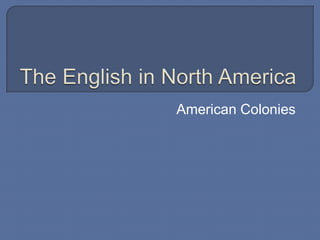 The English in North America American Colonies 
