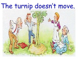 The turnip doesn’t move. 
