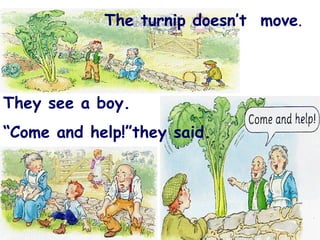 The turnip doesn’t  move .  They see a boy. “ Come and help!”they said. 
