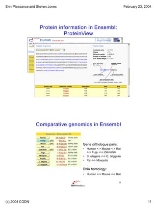 Erin Pleasance and Steven Jones February 23, 2004
(c) 2004 CGDN 11
Lecture 7.1 21
Protein information in Ensembl:
ProteinView
22
Comparative genomics in Ensembl
Gene orthologue pairs:
• Human <-> Mouse <-> Rat
<-> Fugu <-> Zebrafish
• C. elegans <-> C. briggsae
• Fly <-> Mosquito
DNA homology:
• Human <-> Mouse <-> Rat
 