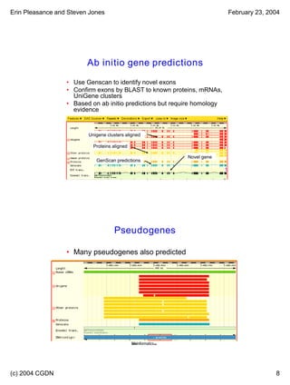Erin Pleasance and Steven Jones February 23, 2004
(c) 2004 CGDN 8
Lecture 7.1 15
Ab initio gene predictions
• Use Genscan to identify novel exons
• Confirm exons by BLAST to known proteins, mRNAs,
UniGene clusters
• Based on ab initio predictions but require homology
evidence
ContigView of homology gene with
associated evidence
Novel gene
GenScan predictions
Proteins aligned
Unigene clusters aligned
Lecture 7.1 16
Pseudogenes
• Many pseudogenes also predicted
 