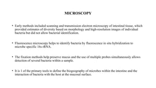 Enteric Microscopy Guide Comprehensive Overview of the Human Enteric Microbiota and Its ...