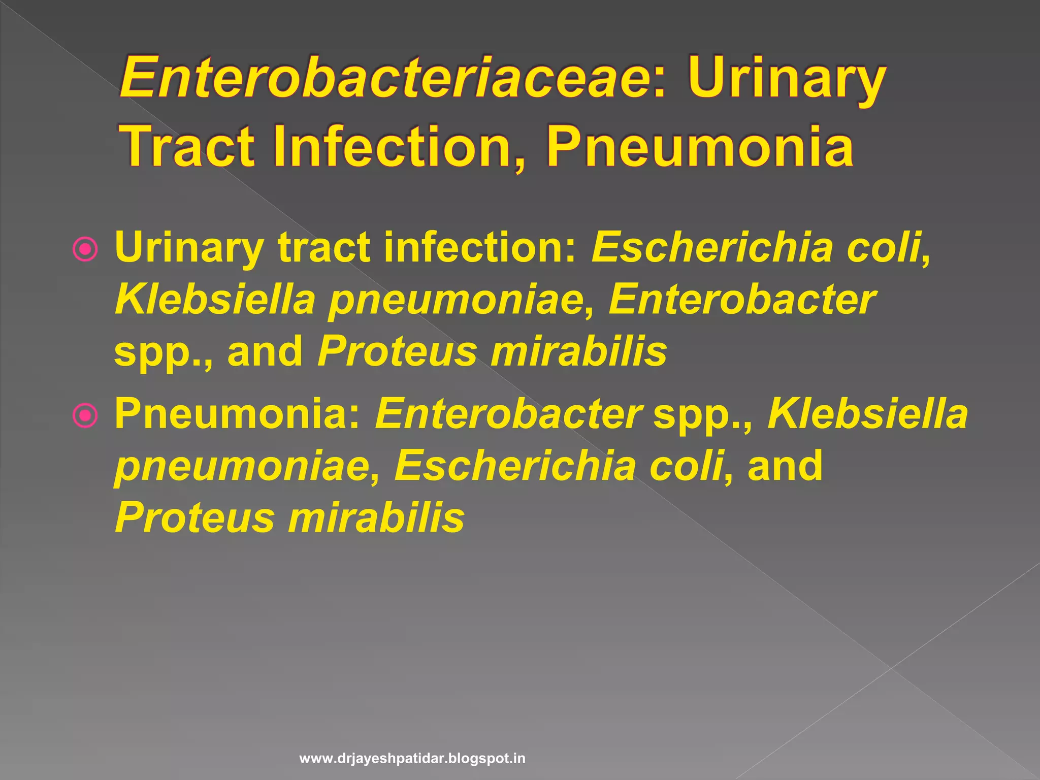  Urinary tract infection: Escherichia coli,
Klebsiella pneumoniae, Enterobacter
spp., and Proteus mirabilis
 Pneumonia: Enterobacter spp., Klebsiella
pneumoniae, Escherichia coli, and
Proteus mirabilis
www.drjayeshpatidar.blogspot.in
 