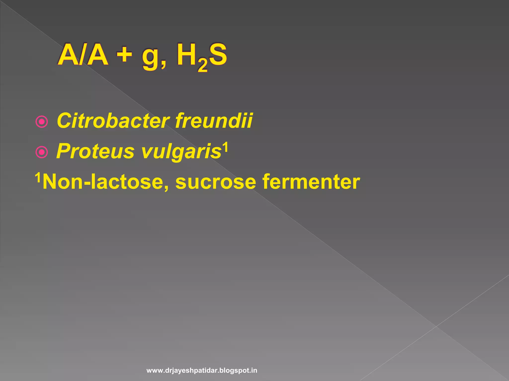  Citrobacter freundii
 Proteus vulgaris1
1Non-lactose, sucrose fermenter
www.drjayeshpatidar.blogspot.in
 