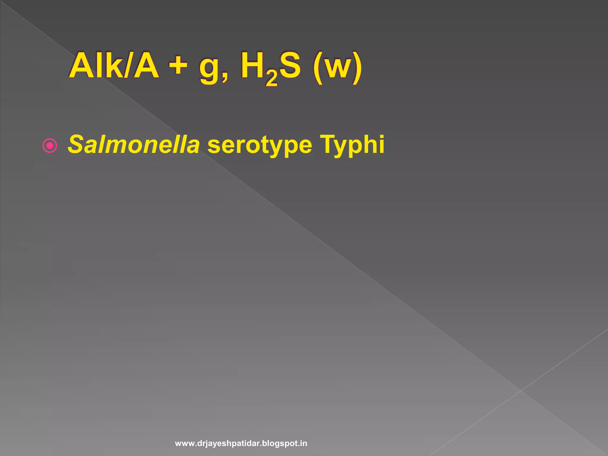  Salmonella serotype Typhi
www.drjayeshpatidar.blogspot.in
 