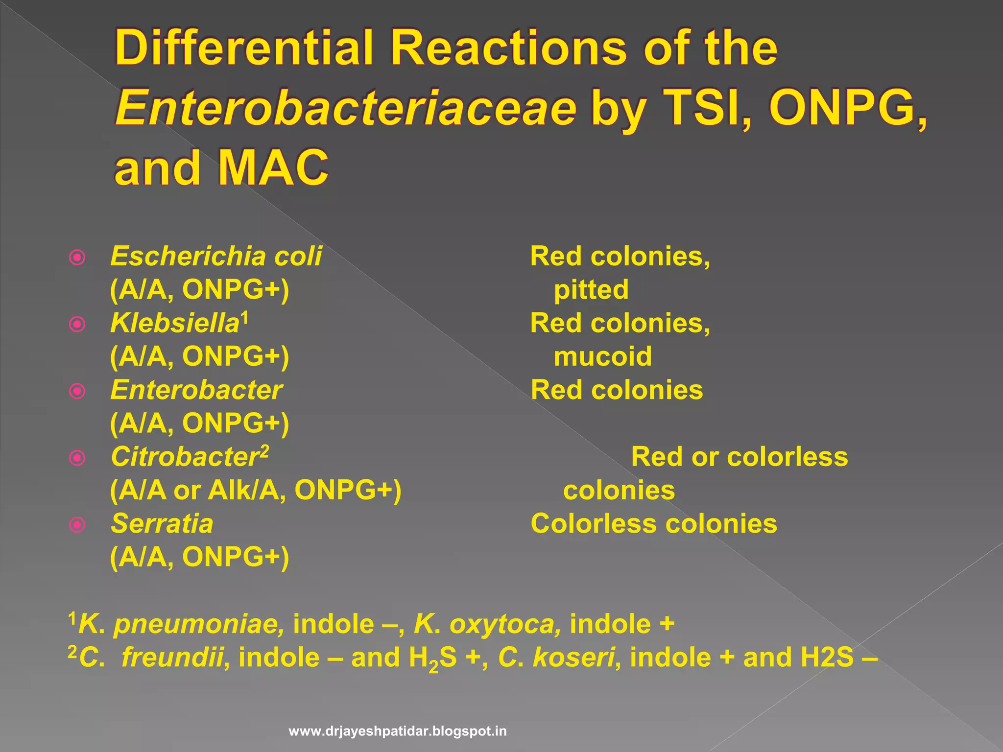  Escherichia coli Red colonies,
(A/A, ONPG+) pitted
 Klebsiella1 Red colonies,
(A/A, ONPG+) mucoid
 Enterobacter Red colonies
(A/A, ONPG+)
 Citrobacter2 Red or colorless
(A/A or Alk/A, ONPG+) colonies
 Serratia Colorless colonies
(A/A, ONPG+)
1K. pneumoniae, indole –, K. oxytoca, indole +
2C. freundii, indole – and H2S +, C. koseri, indole + and H2S –
www.drjayeshpatidar.blogspot.in
 