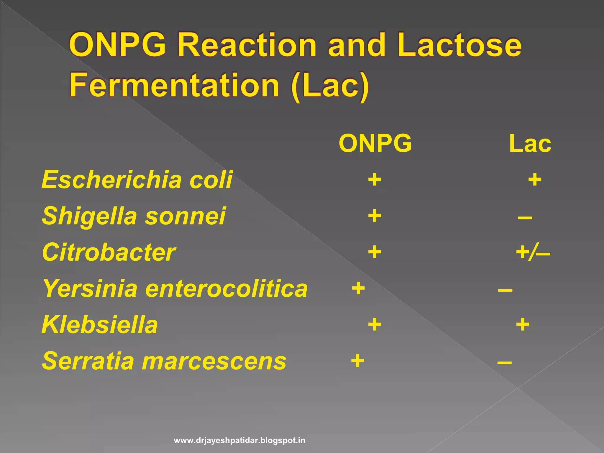 ONPG Lac
Escherichia coli + +
Shigella sonnei + –
Citrobacter + +/–
Yersinia enterocolitica + –
Klebsiella + +
Serratia marcescens + –
www.drjayeshpatidar.blogspot.in
 