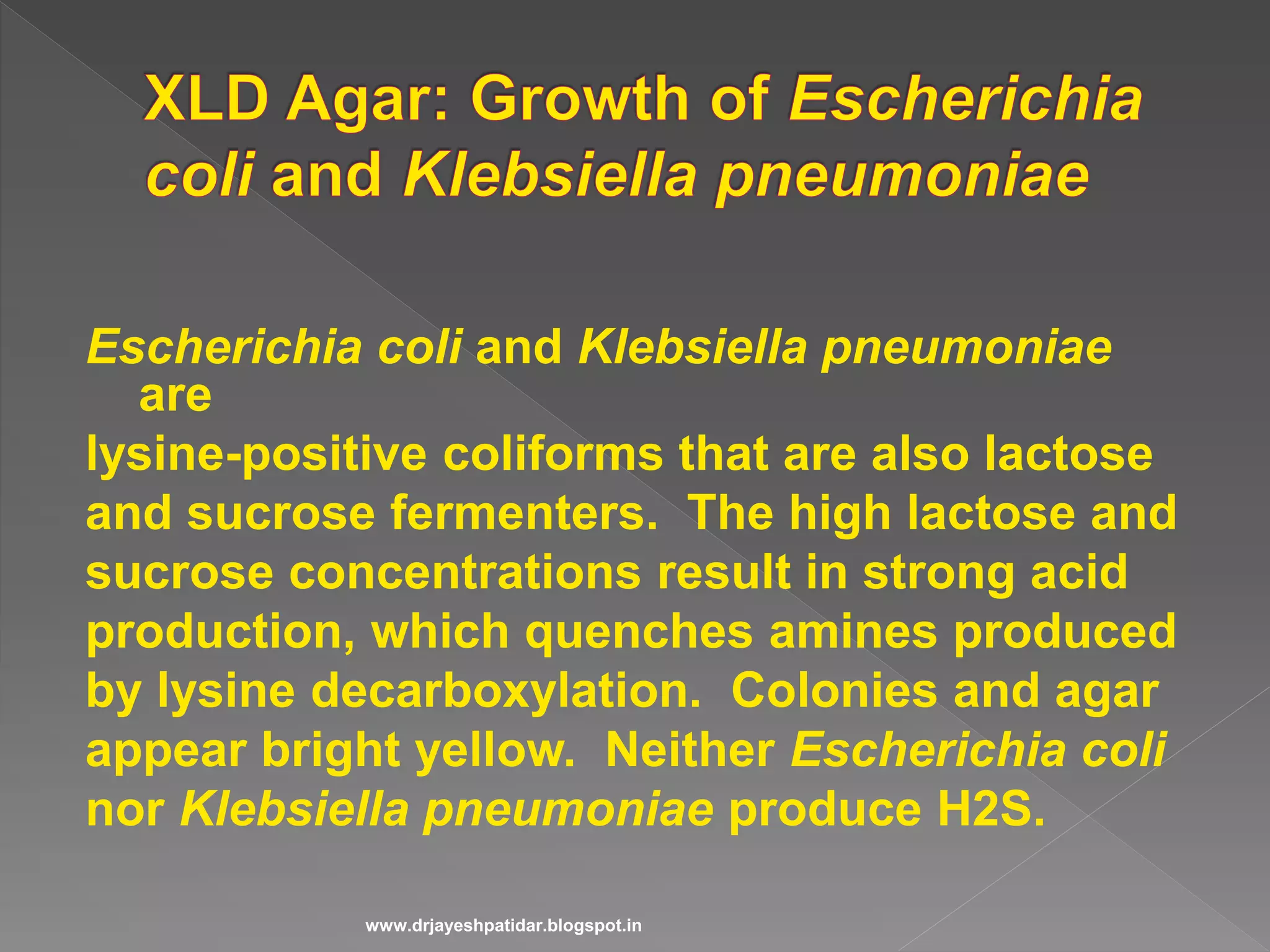 Escherichia coli and Klebsiella pneumoniae
are
lysine-positive coliforms that are also lactose
and sucrose fermenters. The high lactose and
sucrose concentrations result in strong acid
production, which quenches amines produced
by lysine decarboxylation. Colonies and agar
appear bright yellow. Neither Escherichia coli
nor Klebsiella pneumoniae produce H2S.
www.drjayeshpatidar.blogspot.in
 