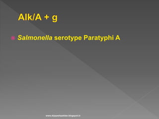  Salmonella serotype Paratyphi A
www.drjayeshpatidar.blogspot.in
 