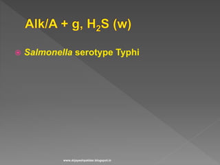  Salmonella serotype Typhi
www.drjayeshpatidar.blogspot.in
 