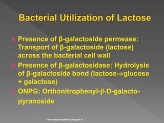  Presence of β-galactoside permease:
Transport of β-galactoside (lactose)
across the bacterial cell wall
 Presence of β-galactosidase: Hydrolysis
of β-galactoside bond (lactoseglucose
+ galactose)
 ONPG: Orthonitrophenyl-β-D-galacto-
pyranoside
www.drjayeshpatidar.blogspot.in
 