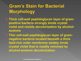  Thick cell-wall peptidoglycan layer of gram-
positive bacteria strongly binds crystal
violet and resists decolorization by alcohol-
acetone
 Thin cell-wall peptidoglycan layer of gram-
negative bacteria located beneath a thick
lipid-rich outer membrane weakly binds
crystal violet that is readily removed by
alcohol-acetone decolorization
www.drjayeshpatidar.blogspot.in
 