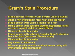  Flood surface of smear with crystal violet solution
 After 1 min thoroughly rinse with cold tap water
 Flood smear with Gram’s iodine for 1 min
 Rinse smear with acetone-alcohol decolorizer until
no more crystal violet in rinse effluent
 Rinse with cold tap water
 Flood smear with safranin (regular Gram’s stain) or
basic fuchsin (enhanced Gram’s stain)
 Rinse with cold tap water
 Dry smear in slide rack
 Microscopically examine stained smear using oil-
immersion light microscopy
www.drjayeshpatidar.blogspot.in
 