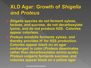  Shigella species do not ferment xylose,
lactose, and sucrose, do not decarboxylate
lysine, and do not produce H2S. Colonies
appear colorless.
 Proteus mirabilis ferments xylose, and
thereby provides H+ for H2S production.
Colonies appear black on an agar
unchanged in color (Proteus deaminates
rather than decarboxylates amino acids).
Proteus vulgaris ferments sucrose, and
colonies appear black on a yellow agar.
www.drjayeshpatidar.blogspot.in
 