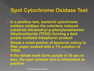  In a positive test, bacterial cytochrome
oxidase oxidizes the colorless reduced
substrate tetramethyl-p-phenylenediamine
dihydrochloride (TPDD) forming a dark
purple oxidized indophenol product
 Streak a small portion of bacterial colony to
filter paper soaked with a 1% solution of
TPDD
 If the streak mark turns purple in 10 sec or
less, the spot oxidase test is interpreted as
positive
www.drjayeshpatidar.blogspot.in
 