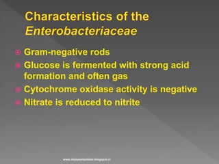 The enterobacteriaceae basic properties.ppsx x