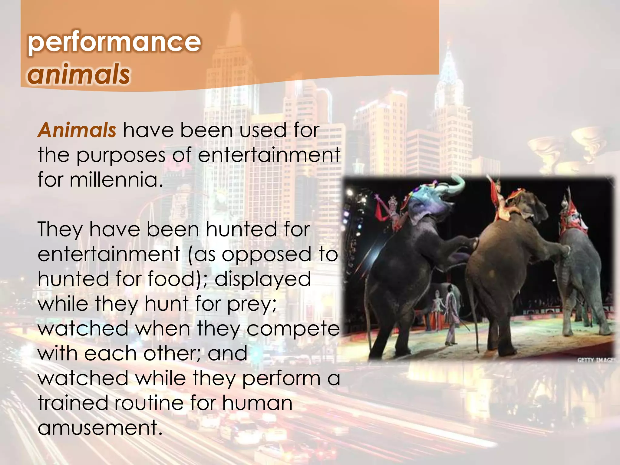 Animals have been used for
the purposes of entertainment
for millennia.
They have been hunted for
entertainment (as opposed to
hunted for food); displayed
while they hunt for prey;
watched when they compete
with each other; and
watched while they perform a
trained routine for human
amusement.
performance
animals
 
