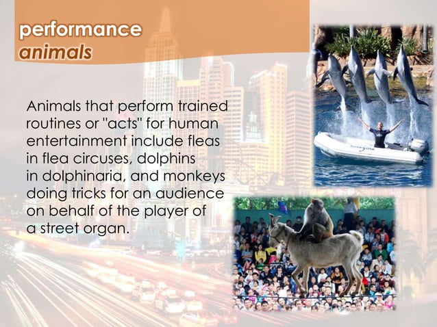 The Concept and Types of Entertainment | PPTX | Theater Venues ...