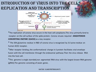 The entry mechanism of corona virus into the host cell. | PPT