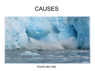 CAUSES  POLES MELTING  