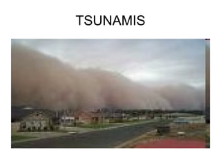 TSUNAMIS 