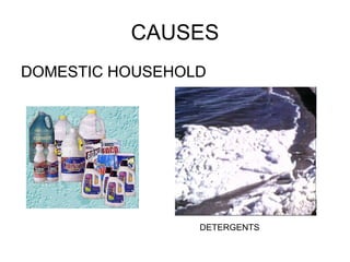 CAUSES DOMESTIC HOUSEHOLD  DETERGENTS  