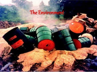 The Environment
 