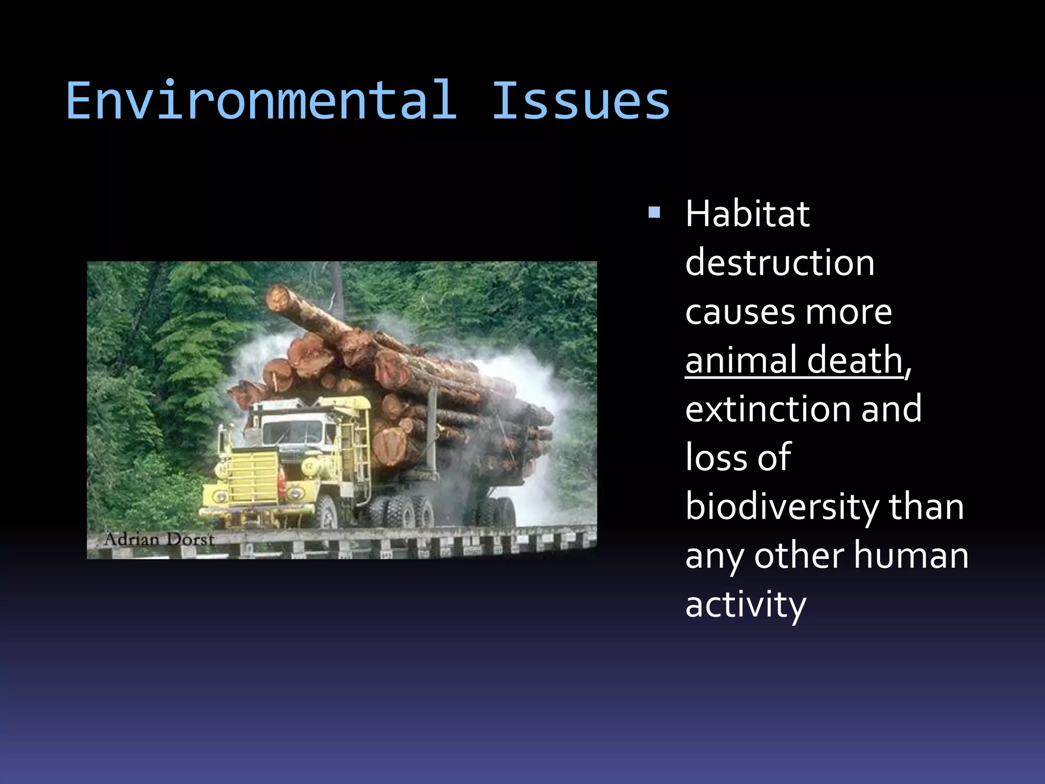 Environmental Issues
                    Habitat
                       destruction
                       causes more
                       animal death,
                       extinction and
                       loss of
                       biodiversity than
                       any other human
                       activity
 