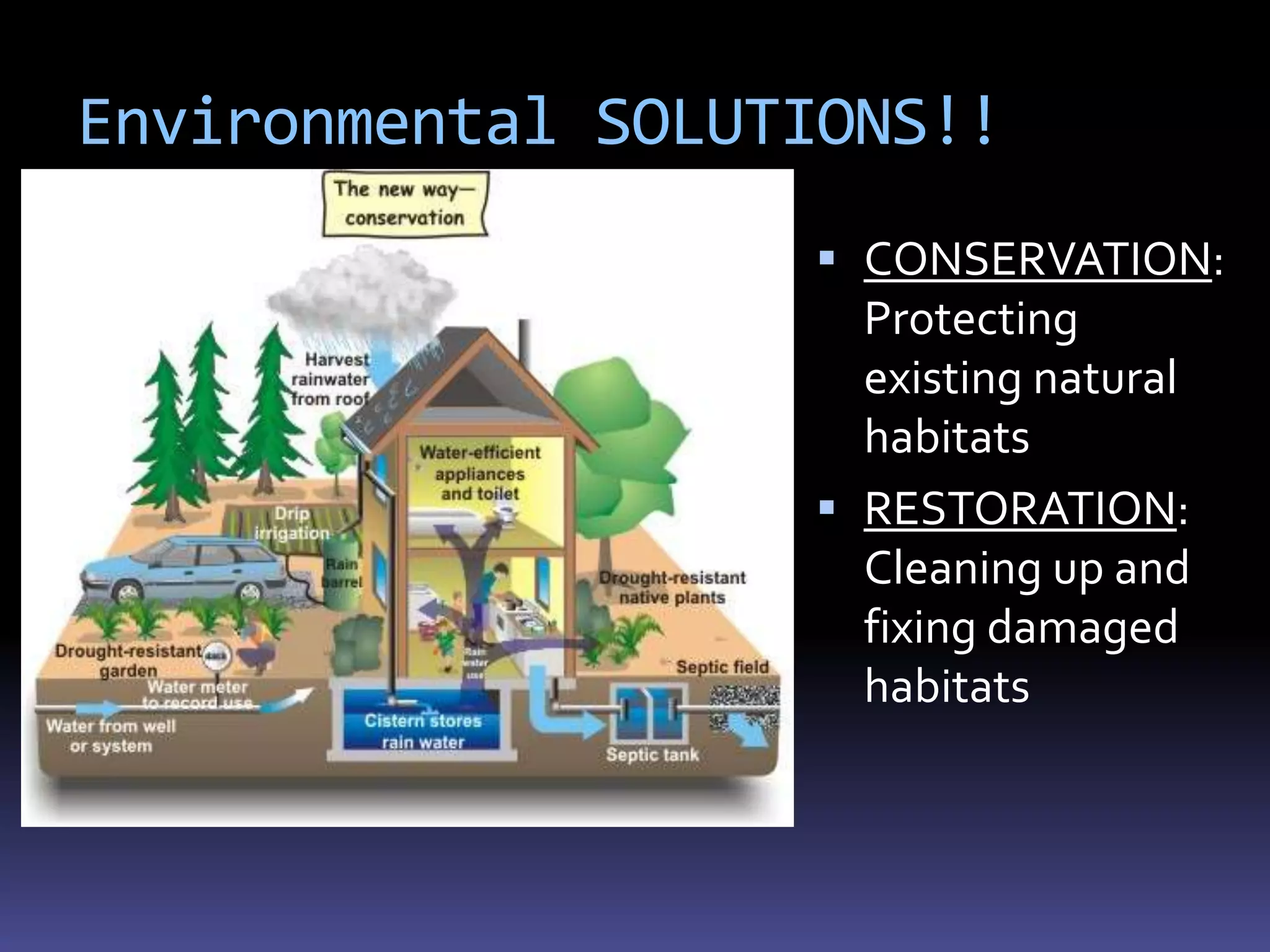 Environmental SOLUTIONS!!
                    CONSERVATION:
                     Protecting
                     existing natural
                     habitats
                    RESTORATION:
                     Cleaning up and
                     fixing damaged
                     habitats
 