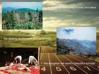 • Acid rain is destroying forests and lakes

• We destroy landscapes and rainforests

• We slaughter the world’s beautiful animals

 