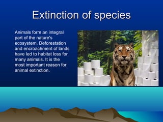 Extinction of speciesExtinction of species
Animals form an integral
part of the nature's
ecosystem. Deforestation
and encroachment of lands
have led to habitat loss for
many animals. It is the
most important reason for
animal extinction.
 
